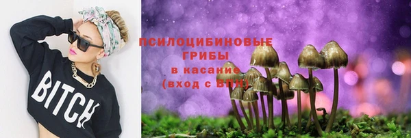 mdpv Протвино