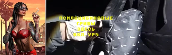 mdpv Протвино