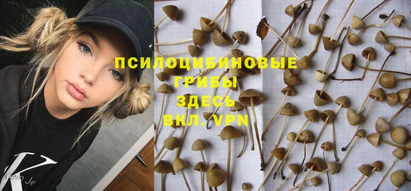 mdpv Протвино