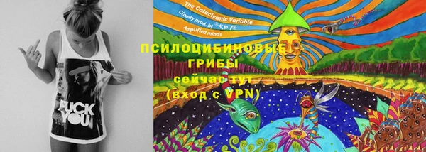 mdpv Протвино