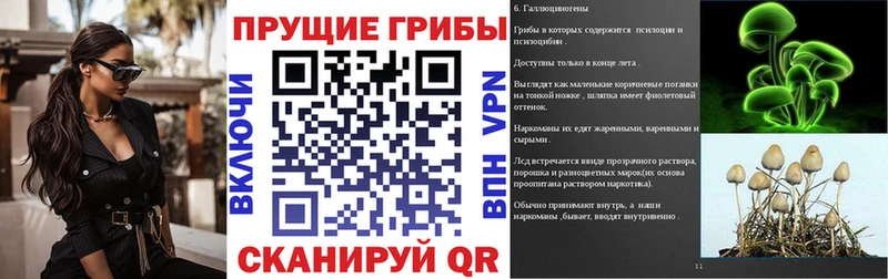 Галлюциногенные грибы Cubensis  hydra онион  Асино 