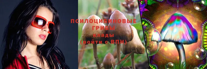 omg ONION  дарк нет состав  Галлюциногенные грибы MAGIC MUSHROOMS  Асино 