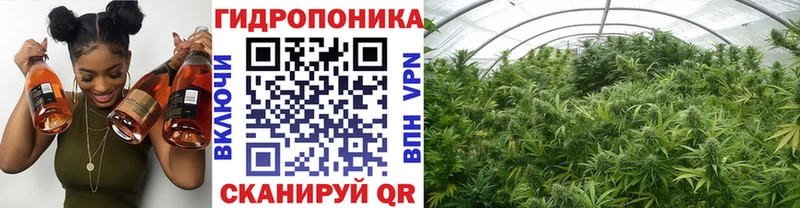 Марихуана ГИДРОПОН  дарнет шоп  Асино 