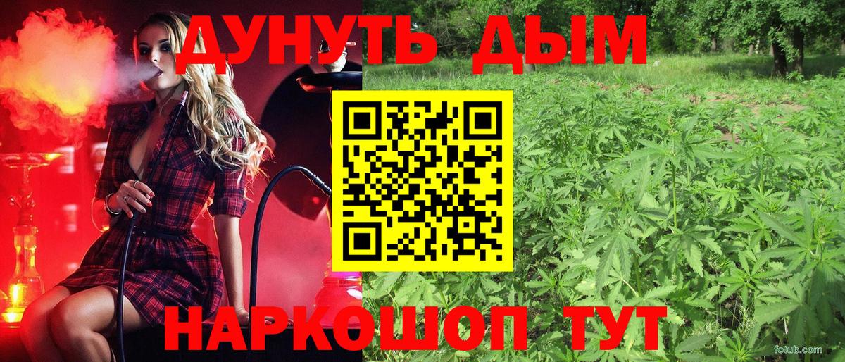 Каннабис сатива  Асино  Шишки марихуана AK-47  Канабис Bruce Banner 